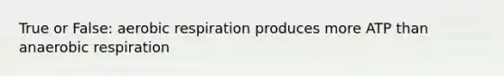 True or False: <a href='https://www.questionai.com/knowledge/kyxGdbadrV-aerobic-respiration' class='anchor-knowledge'>aerobic respiration</a> produces more ATP than anaerobic respiration