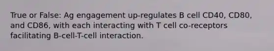 True or False: Ag engagement up-regulates B cell CD40, CD80, and CD86, with each interacting with T cell co-receptors facilitating B-cell-T-cell interaction.