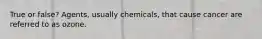 True or false? Agents, usually chemicals, that cause cancer are referred to as ozone.