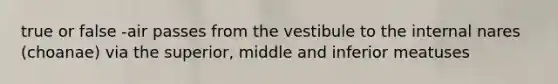 true or false -air passes from the vestibule to the internal nares (choanae) via the superior, middle and inferior meatuses