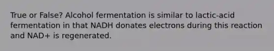 True or False? Alcohol fermentation is similar to lactic-acid fermentation in that NADH donates electrons during this reaction and NAD+ is regenerated.