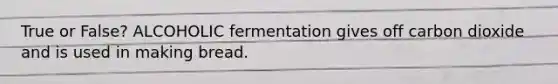 True or False? ALCOHOLIC fermentation gives off carbon dioxide and is used in making bread.