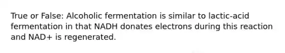 True or False: Alcoholic fermentation is similar to lactic-acid fermentation in that NADH donates electrons during this reaction and NAD+ is regenerated.