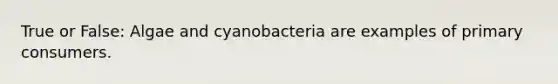 True or False: Algae and cyanobacteria are examples of primary consumers.