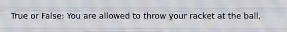 True or False: You are allowed to throw your racket at the ball.