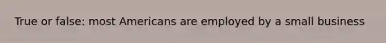 True or false: most Americans are employed by a small business
