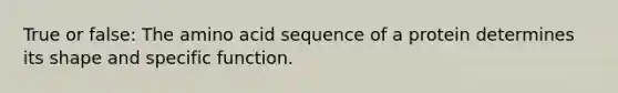 True or false: The amino acid sequence of a protein determines its shape and specific function.