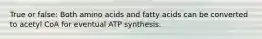 True or false: Both amino acids and fatty acids can be converted to acetyl CoA for eventual ATP synthesis.