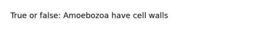 True or false: Amoebozoa have cell walls