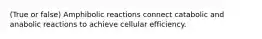 (True or false) Amphibolic reactions connect catabolic and anabolic reactions to achieve cellular efficiency.