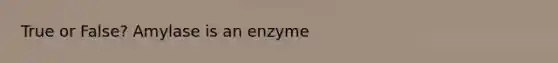 True or False? Amylase is an enzyme