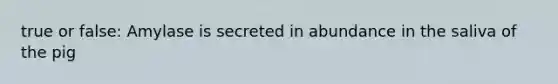 true or false: Amylase is secreted in abundance in the saliva of the pig