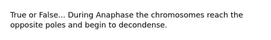 True or False... During Anaphase the chromosomes reach the opposite poles and begin to decondense.