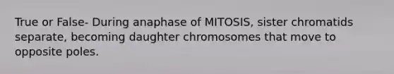 True or False- During anaphase of MITOSIS, sister chromatids separate, becoming daughter chromosomes that move to opposite poles.