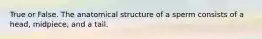 True or False. The anatomical structure of a sperm consists of a head, midpiece, and a tail.