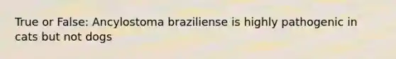 True or False: Ancylostoma braziliense is highly pathogenic in cats but not dogs