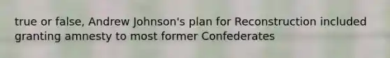 true or false, Andrew Johnson's plan for Reconstruction included granting amnesty to most former Confederates