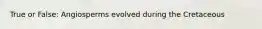 True or False: Angiosperms evolved during the Cretaceous