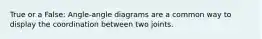 True or a False: Angle-angle diagrams are a common way to display the coordination between two joints.