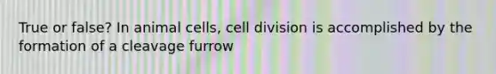 True or false? In animal cells, <a href='https://www.questionai.com/knowledge/kjHVAH8Me4-cell-division' class='anchor-knowledge'>cell division</a> is accomplished by the formation of a cleavage furrow