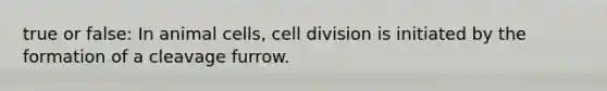 true or false: In animal cells, cell division is initiated by the formation of a cleavage furrow.