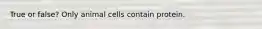 True or false? Only animal cells contain protein.