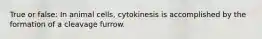 True or false: In animal cells, cytokinesis is accomplished by the formation of a cleavage furrow.