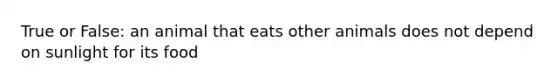 True or False: an animal that eats other animals does not depend on sunlight for its food