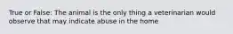 True or False: The animal is the only thing a veterinarian would observe that may indicate abuse in the home