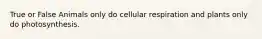 True or False Animals only do cellular respiration and plants only do photosynthesis.