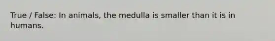 True / False: In animals, the medulla is smaller than it is in humans.