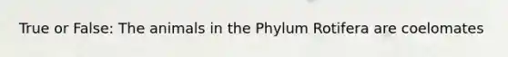 True or False: The animals in the Phylum Rotifera are coelomates