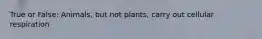 True or False: Animals, but not plants, carry out cellular respiration