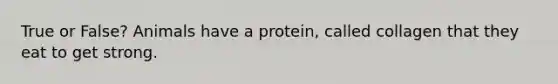 True or False? Animals have a protein, called collagen that they eat to get strong.