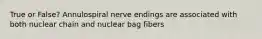 True or False? Annulospiral nerve endings are associated with both nuclear chain and nuclear bag fibers
