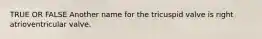 TRUE OR FALSE Another name for the tricuspid valve is right atrioventricular valve.