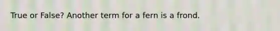 True or False? Another term for a fern is a frond.