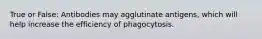 True or False: Antibodies may agglutinate antigens, which will help increase the efficiency of phagocytosis.