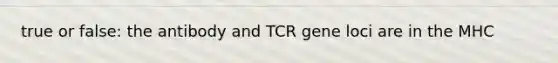 true or false: the antibody and TCR gene loci are in the MHC