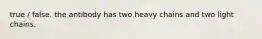 true / false. the antibody has two heavy chains and two light chains.