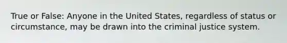 True or False: Anyone in the United States, regardless of status or circumstance, may be drawn into the criminal justice system.