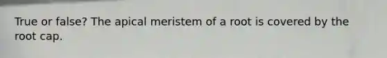 True or false? The apical meristem of a root is covered by the root cap.