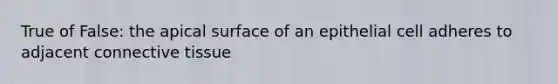 True of False: the apical surface of an epithelial cell adheres to adjacent connective tissue