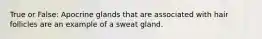 True or False: Apocrine glands that are associated with hair follicles are an example of a sweat gland.