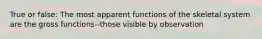 True or false: The most apparent functions of the skeletal system are the gross functions--those visible by observation