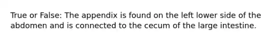 True or False: The appendix is found on the left lower side of the abdomen and is connected to the cecum of the large intestine.