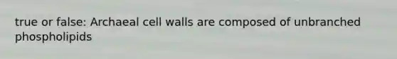 true or false: Archaeal cell walls are composed of unbranched phospholipids