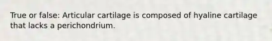 True or false: Articular cartilage is composed of hyaline cartilage that lacks a perichondrium.