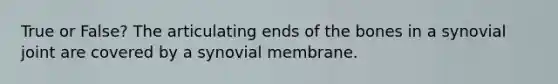 True or False? The articulating ends of the bones in a synovial joint are covered by a synovial membrane.