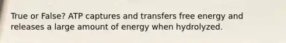 True or False? ATP captures and transfers free energy and releases a large amount of energy when hydrolyzed.